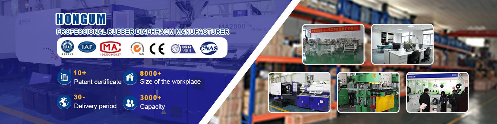 màng bơm định lượng