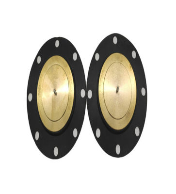 Milton Roy Máy bơm định lượng GM Màng đệm PTFE liên kết EPDM