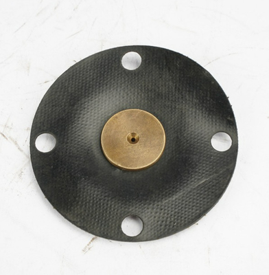MILTON ROY Bộ màng bơm định lượng / bơm định lượng Con dấu PTFE EPDM