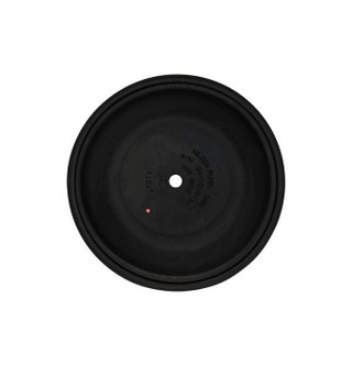 108839 Màng cao su bơm  Graco 0,5 inch PTFE CHO HUSKY 515/716