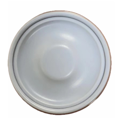 Màng ngăn tổng hợp PTFE EPDM cho bơm định lượng Aquasystem