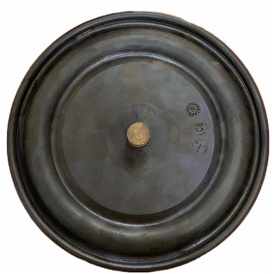 DN8 DN200 Bơm van pít tông Bơm định lượng Fit màng PTFE EPDM