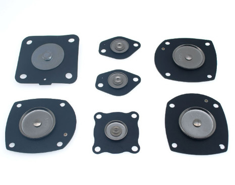 Bộ màng DB16 DB16/G cho van phản lực xung Mecair VNP206 VNP306