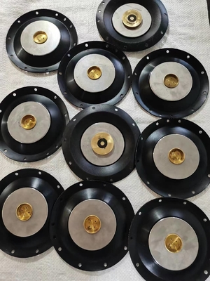 Thép không gỉ 24V Solenoid Valve Diaphragm Với Kháng áp 10 Bar