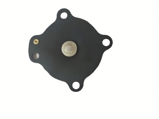 Kiểm soát nhiệt độ được đơn giản hóa với Black Solenoid Valve Diaphragm và kết nối dây