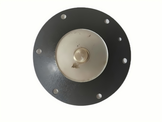 Loại niêm phong NBR Phân kính van điện tử cho phạm vi nhiệt độ hoạt động rộng D25 của DMF-Z-25 DMF-ZM-25 DMF-Y-25